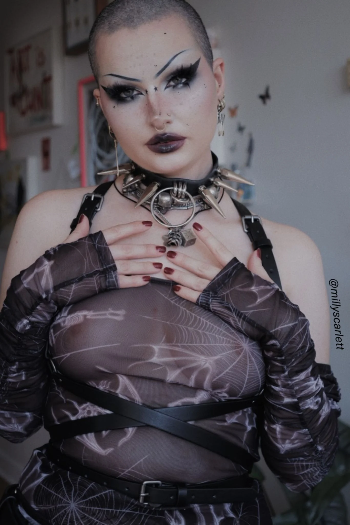 Bat Bones Sheer Off The Shoulder Top - Image 4