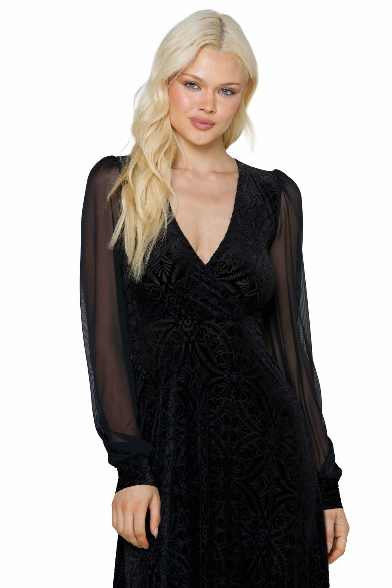 Black Burned Velvet Sheer Romance Maxi Dress - Image 6