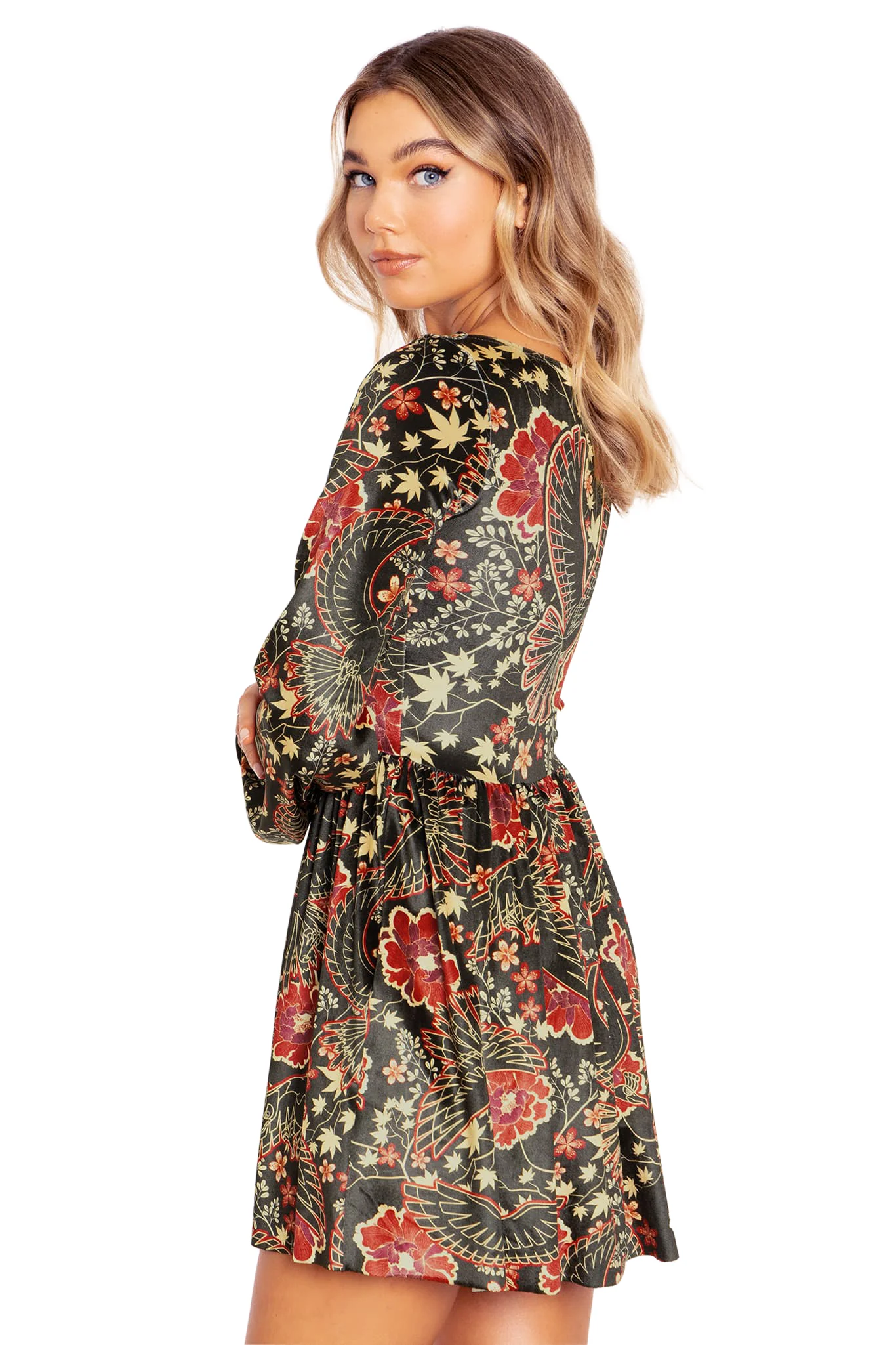 Ho-Oh Wallpaper Velvet Squared Up Bishop Skater Dress - Image 5