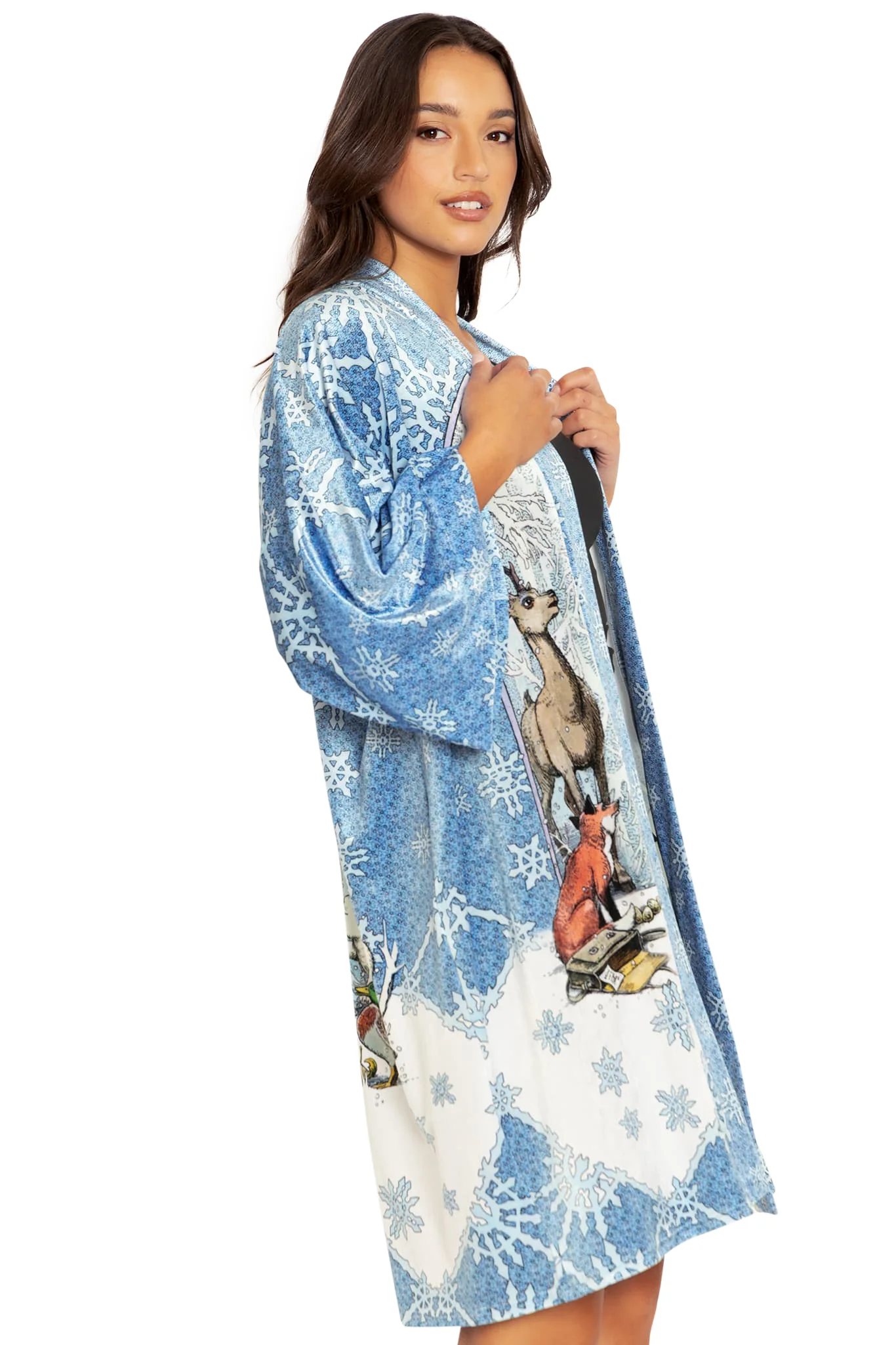 The Snow Queen Velvet Robe - Image 5